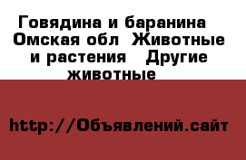 Говядина и баранина - Омская обл. Животные и растения » Другие животные   